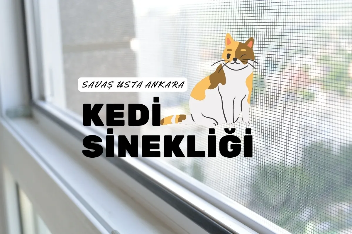 Ankara Kedi Sinekliği 
